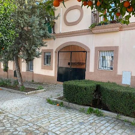 Sevilla. Gerena Casa Rural Para Familia O Profesionales Dış mekan fotoğraf