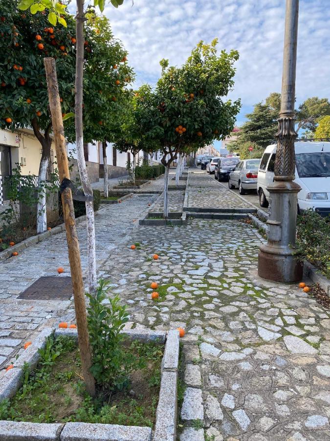 Sevilla. Gerena Casa Rural Para Familia O Profesionales Dış mekan fotoğraf